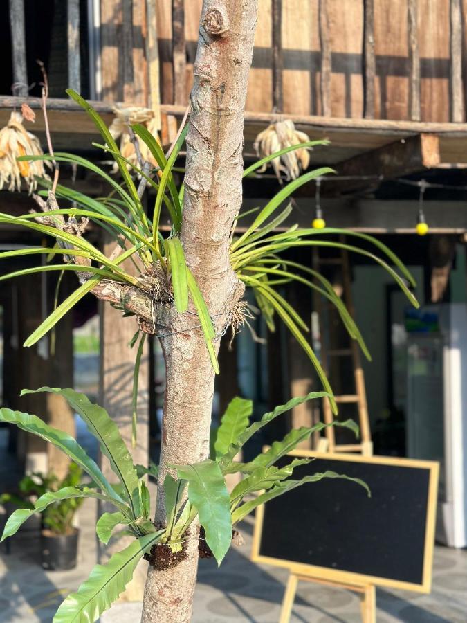 Du Gia Thu'S Homestay Lang Cac Exterior foto